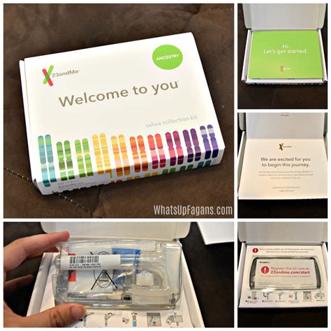 Here's What a 23andMe DNA Kit Will Reveal about You