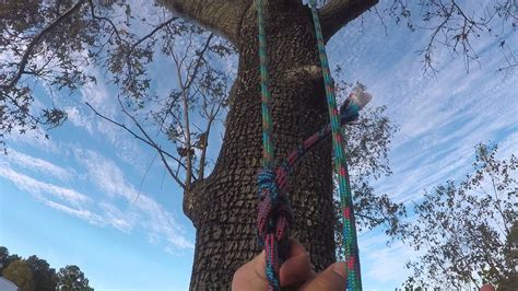 Learning How to Climb a Tree With Just Rope - YouTube