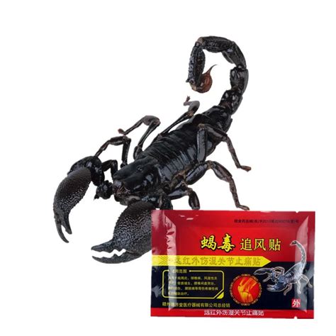 DISAAR Chinese Herbal Pain Relief Emperor Scorpion Venom Essential oil Orthopedic Plaster ...