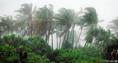 Timeless Memories - My Bygone!: Monsoon Rain..!!!