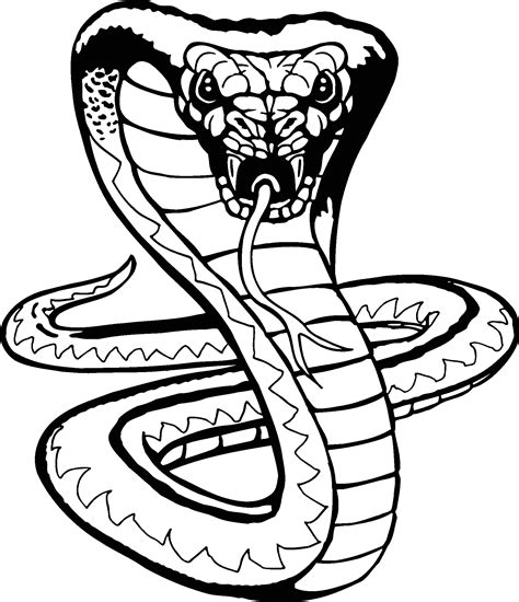 How To Draw A Viper Snake - ClipArt Best