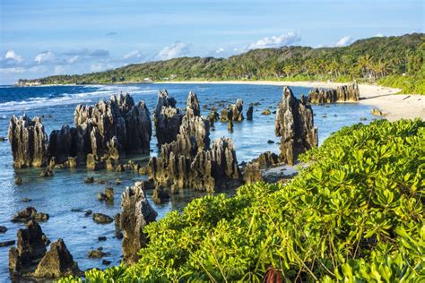 Explore the Pacific Paradise with Nauru Airlines’ Island Hopper Service ...