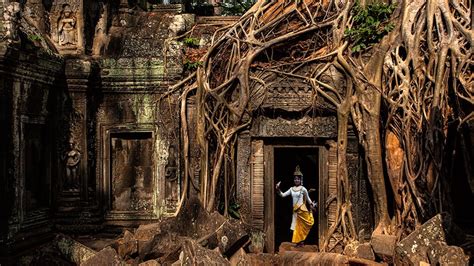 Ta Prohm – The Ruined Temple in Cambodia