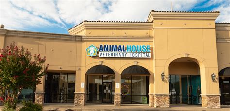 Veterinarian in Tulsa, OK | Animal House Veterinary Hospital