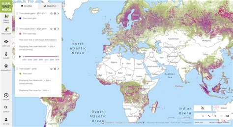 Global Deforestation Graph