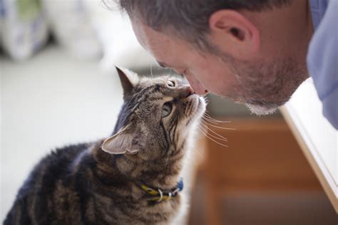 Choosing a Pet: Finding Your Perfect Match | OVRS Blog | Oakland ...