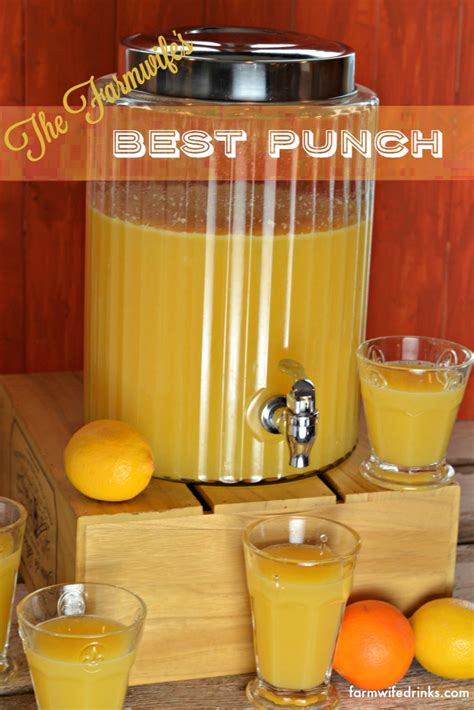 The Best Punch Recipe - The Farmwife Drinks