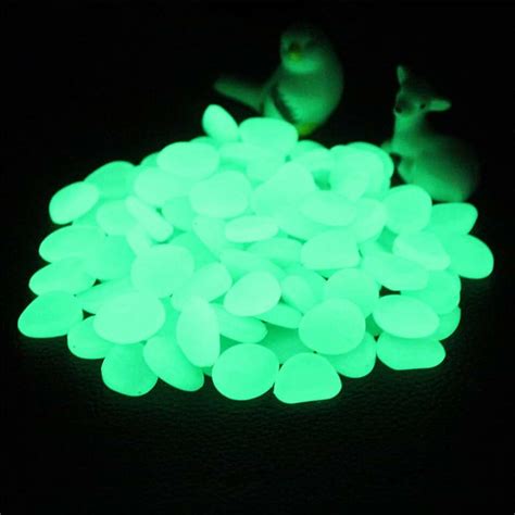 Amazon.com: glow in the dark plants