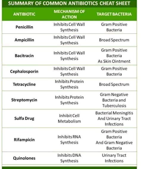 everything you get here: COMMON ANTIBIOTICS