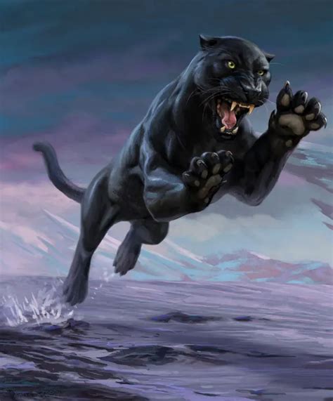 Panther | Forgotten Realms Wiki | Fandom