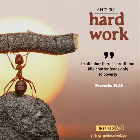 ANTS 301: HARD WORK – inspired2go