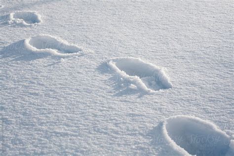 Footprints in the snow by Borislav Zhuykov - Snow, Footprint - Stocksy ...