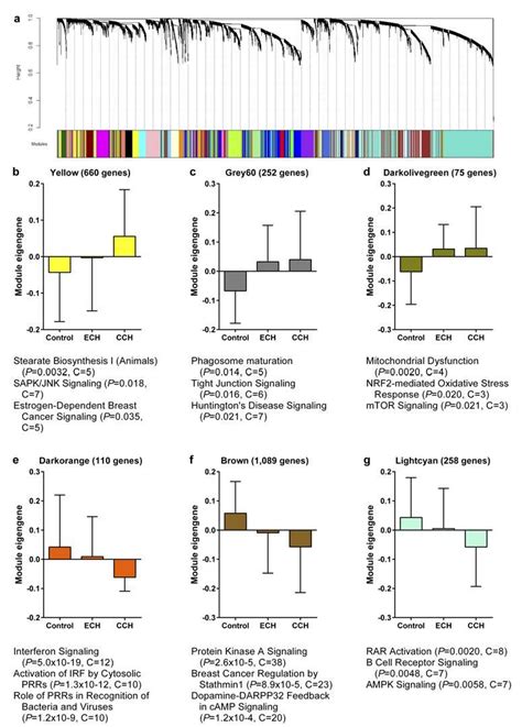 Gene co-expression modules in whole blood associated with cluster ...