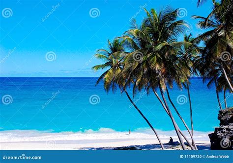 Bottom Bay Beach Barbados stock photo. Image of caribbean - 11159720