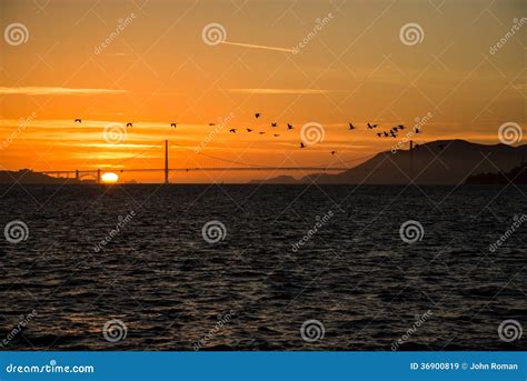 Golden Gate sunset stock image. Image of landscape, california - 36900819