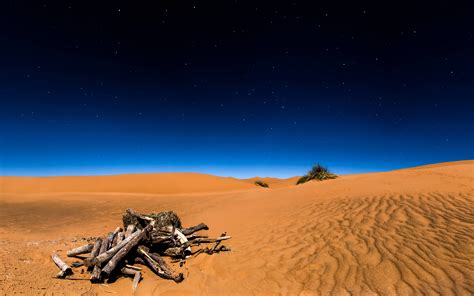 Sahara Desert 4K 8K Wallpapers | HD Wallpapers | ID #20245