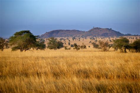 Tropical Grassland Climate