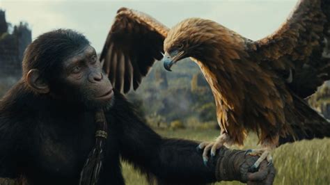 ‘Kingdom of the Planet of the Apes’ trailer | CNN