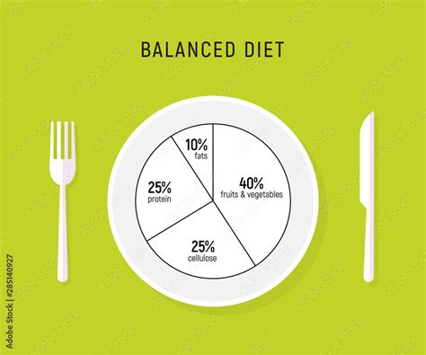 Healthy diet food, balance nutrition plate. Vector health meal chart ...