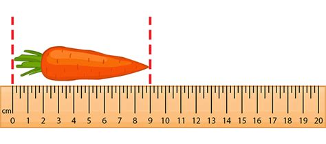 How Big Is A Centimeter Compared To An Inch : How much are 10 inches in ...