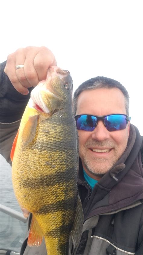 Seneca Lake (NY) Fishing Report for Yellow Perch(Apr 5, 2022) | Omnia Fishing