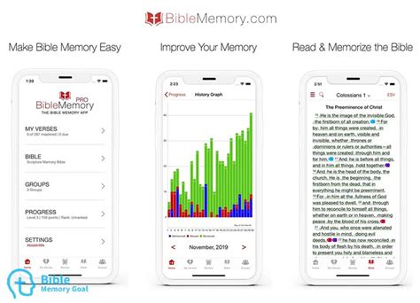 5 Best Bible Memory Apps for 2024 (memorize the Bible faster!)