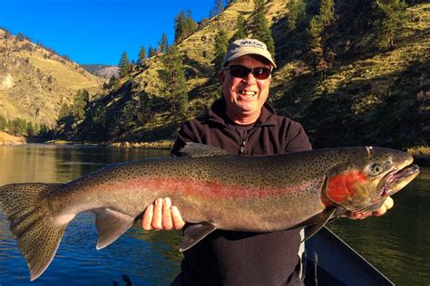 Idaho Steelhead Fishing Mackay Bar Ram House Lodge Jet Boat Trips ...