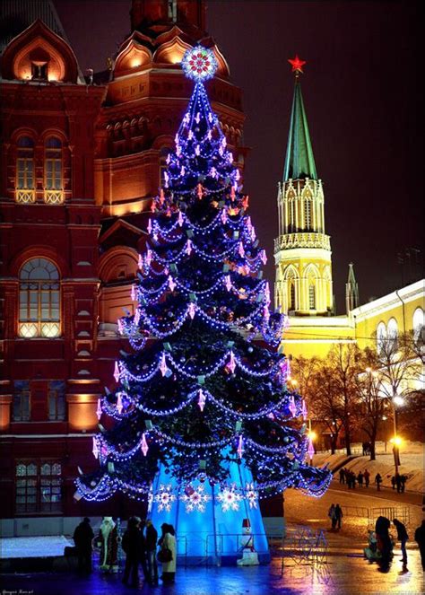 Christmas Trees of Moscow, Russia | English Russia | Purple christmas, Beautiful christmas trees ...