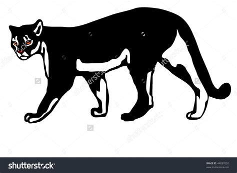 Mountain Lion Vector at GetDrawings | Free download