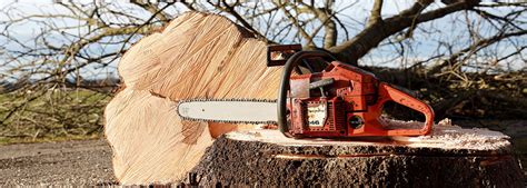 Basic Chainsaw Safety – Rutgers NJAES Office of Continuing Professional ...