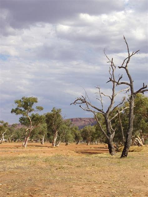 Photo of arid landscape | Free Australian Stock Images