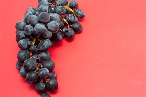 Bunch of fresh black grapes - Free Stock Image