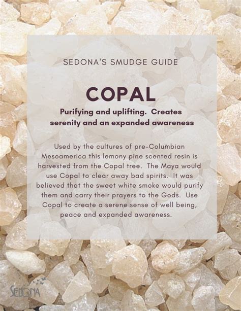 Copal Resin - Purifying and Uplifting | Herbal healing, Herbalism, Magic herbs