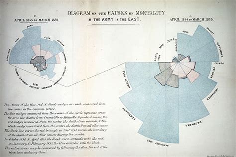 Rose diagram florence nightingale - lockqcomplete