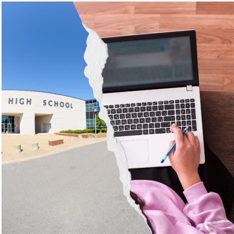 How Do Online Schools Compare To Brick and Mortar Schools?