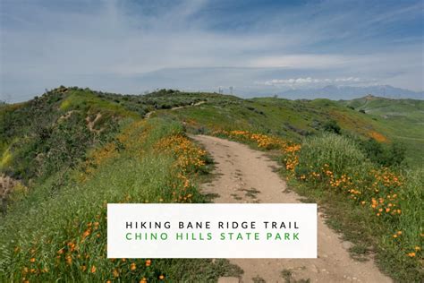 Hiking Bane Ridge Trail In Chino Hills State Park - Trail to Peak