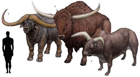 prehistoric cattle | Extinct animals, Prehistoric, Ancient animals