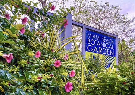 Miami Beach Botanical Garden Mounts Meaningful Exhibitions for the Miami Community – Side of Culture