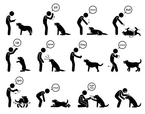 Basic dog commands and behavioral training icons set. Vector illustrations of a person giving ...