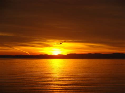 sunset at White Rock beach, White Rock, BC | Vancouver island, Dream cottage, Sunset