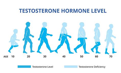 Testosterone level: how does it impact fertility for men