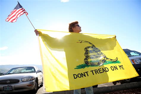 The meaning of the Gadsden flag, symbol that got Colorado boy booted ...