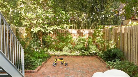 Best privacy trees for shady areas – 5 screening plants that thrive in ...