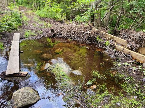 Flash Flooding, Record Rainfall in New England and the Northeast | by Todd B. Bates/NH EnviroGuy ...