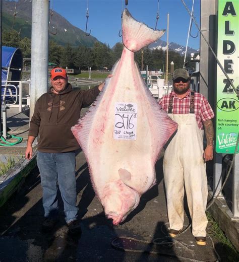 Valdez, Alaska Fishing Report 2021 | Fish Alaska Magazine