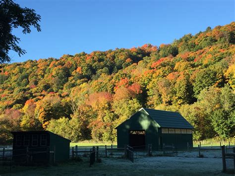 Fall Colors (2016) | Lucky Penny Acres