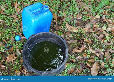 Liquid Fertilizer for Use in the Vegetable Garden of Nettle Manure Stock Image - Image of ...