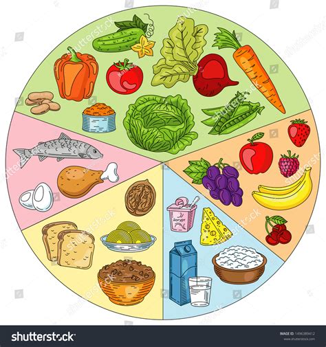 Healthy Food Plate Set Healthy Food Stock Illustration 1496389412 ...