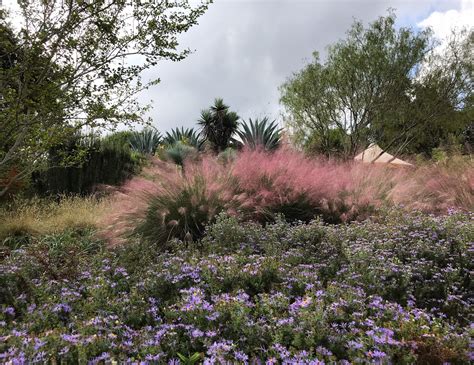 wildflower center - Integral Care