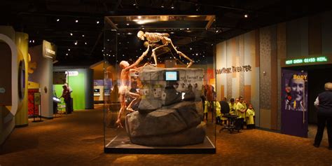 4 Interactive Family Museums in Denver